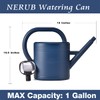 Watering Can 1 Gallon for Indoor Plants, Garden, Outdoor Plant