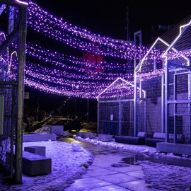 Selarlyt Solar String Lights for Outside, 72Ft 200 LED Solar Fairy Lights with 8 Modes, Solar Powered Fairy Lights Waterproof for Waterproof for Christmas Tree Garden Party Wedding Decor.（Purple）
