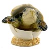 THE JOY TREE Hatching Sea Turtle - Sculpture Figurine Ocean