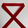 WEIXINDIY - Bobina de cinta de terciopelo rojo de 20