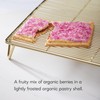 Nature's Path Organic Frosted Wildberry Açai Toaster Pastries, 11 oz