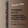 Kanebo Kate Lasting Design Eyebrow W - BR-3 (Harajuku Culture