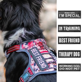 AUROTH Service Dog Vest Patches - 10 Pieces, Reflective and Removable Harness Patches for Training