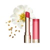 Clarins 클라랑스 NEW 립 오일 밤 2.9g Clarins NEW Lip