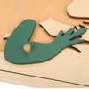 MONTESSORI Frog Puzzle - MONTESSORI BIOLOGY/ZOOLOGY MATERIALS