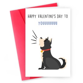 MQMRYeto Cute Valentines Day Card for Dad Mom,Funny Valentines Day Gifts for Women Men,Dog Dad Mom Valentines Day Card,Valentines Day Gifts from Dog