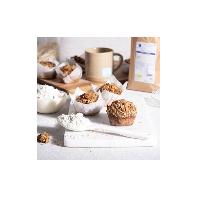 Wholefood Earth Serious Grains Organic Buckwheat Flour - 500g –
