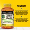 MASON NATURAL Ginkgo Biloba, Supports Brain Function & Mental Alertness,