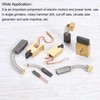 PATIKIL Carbon Brushes 13x8x6mm for Electric Motors Power Tool Angle