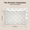 2-Pack Toddler Pillow - Soft Organic Cotton Toddler Pillows for