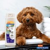 Hartz UltraGuard Pro Triple Active Flea & Tick Dog Shampoo