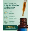 Herb Pharm Milk Thistle Seed Extract for Liver Function Support