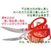 Purchase 兼常 Crab Scissors KC – 027S