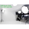 DragonLight 240W Commercial Grade Corn LED Light Bulb (1000 Watt