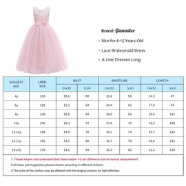 Glamulice Lace Bridesmaid Flower Girl Dress First Communion Kids Birthday Ball Gown Princess Elegant Tulle Maxi Long A Line Evening Gowns Pageant Wedding Party Dresses Blush Pink 8 Holiday Photo Shoot