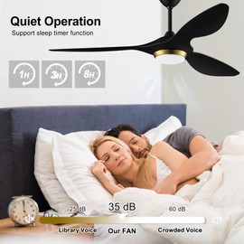 reiga 52 Inch Black Modern Ceiling Fans with Lights and Remote Control, Smart WiFi 3 Blades Quiet DC Motor for Living Room Bedroom Patio Garage, ETL Listed