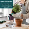 Blumat Classic Self-Watering Stakes - Automatic Drip Irrigation System for