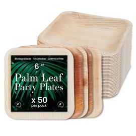 Palm Leaf Plates - Compostable and Grease Resistant 6 Inch Square Plates - Eco Friendly Plate is 100% Natural, Sturdy & Microwave Safe - Disposable & Biodegradable Wood Alternative to Bamboo Plates