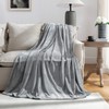 JIAHANNHA Fleece Blanket King Size Grey 108 by 90 Inches