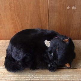 Ninandokino Perfect Pet (Small Size) Black Cat Plush Cat Cat Cat Realistic Realistic Miscellaneous Goods Animals Animals Healing Moving Present Gift Celebration Cute Cat Plush