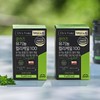 Paleo Cleanse Organic Curly Kale 100 Curly Kale Freeze-Dried Powder