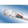 Triplett CAT6-HPP High Performance CAT5 Connector, Pack of 50