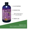 Pronat | GLUCOSAMINA LIQUIDA UVA 580 ML