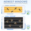 BeeTech Newest Windows 8 Frame Bee Hive Kit Hand Painted