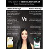 Vegetal Safe Hair Color - Soft Black 50gm - Certified