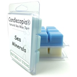 Candlecopia Sea Minerals, Cactus & Sea Salt and Sea Mist Strongly Scented Hand Poured Vegan Wax Melts, 18 Scented Wax Cubes, 9.6 Ounces in 3 x 6-Packs