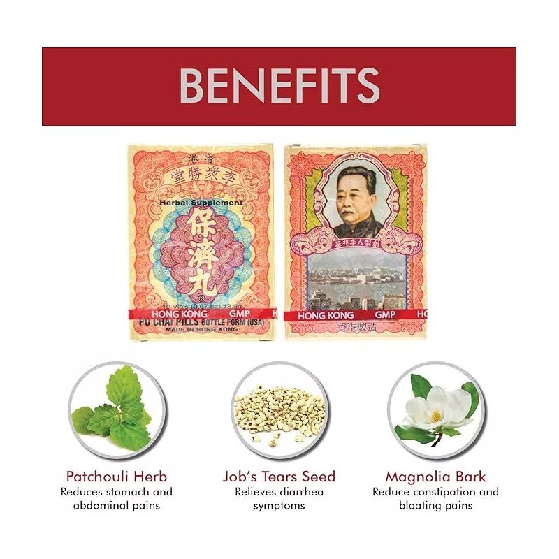 Li Chung Shing Tong 保濟丸 PoChaiPills (10 Vials/1 Box)