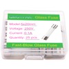 QBGTFAK 25 Pcs 5x20mm 0.1 A 0.1 amp 250 V