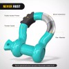 Nilight 2 Pack 3/4" D-Ring Shackle with 7/8" Screw 887lbs