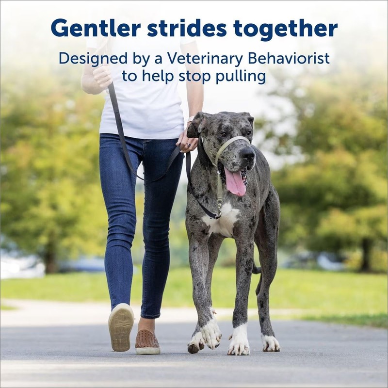 Gentle Head Collar Dog Training Leader Anti Pull Walking Choose