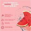 Agua Micelar Fruity Hydra Fresh Sandia 300ml Pond's Sensible Día/noche