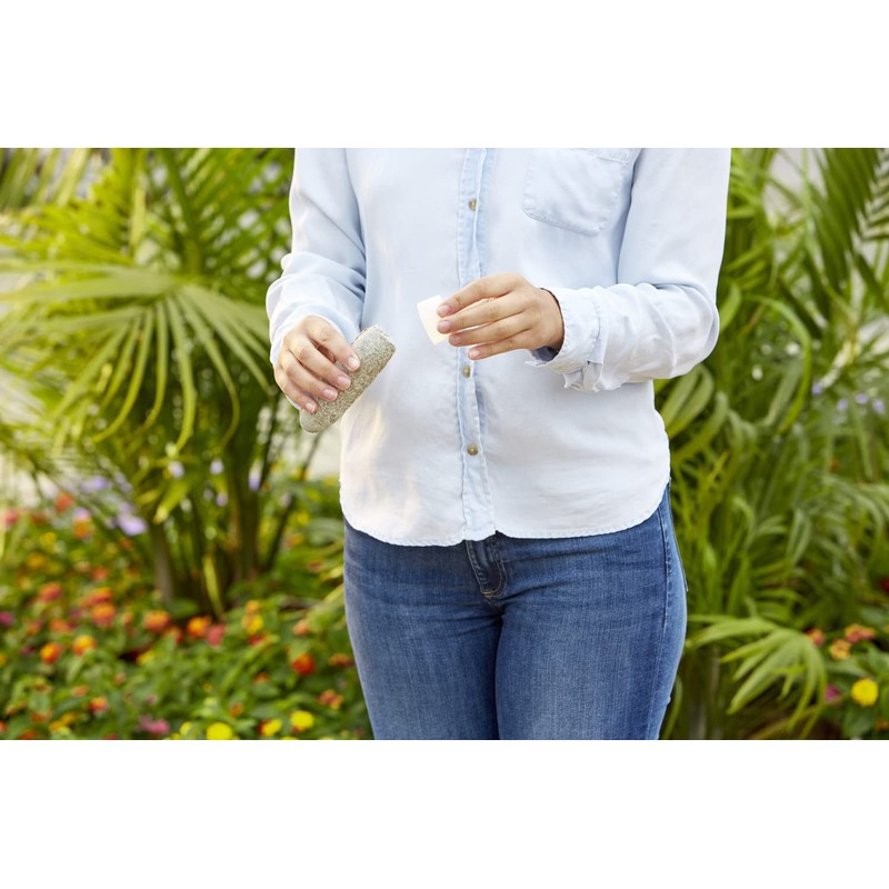 Miracle-Gro Fruit & Citrus Plant Food Spikes, 12 Spikes (2-Pack)