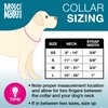 Max & Molly Dog & Puppy Collar with Power Buckle,