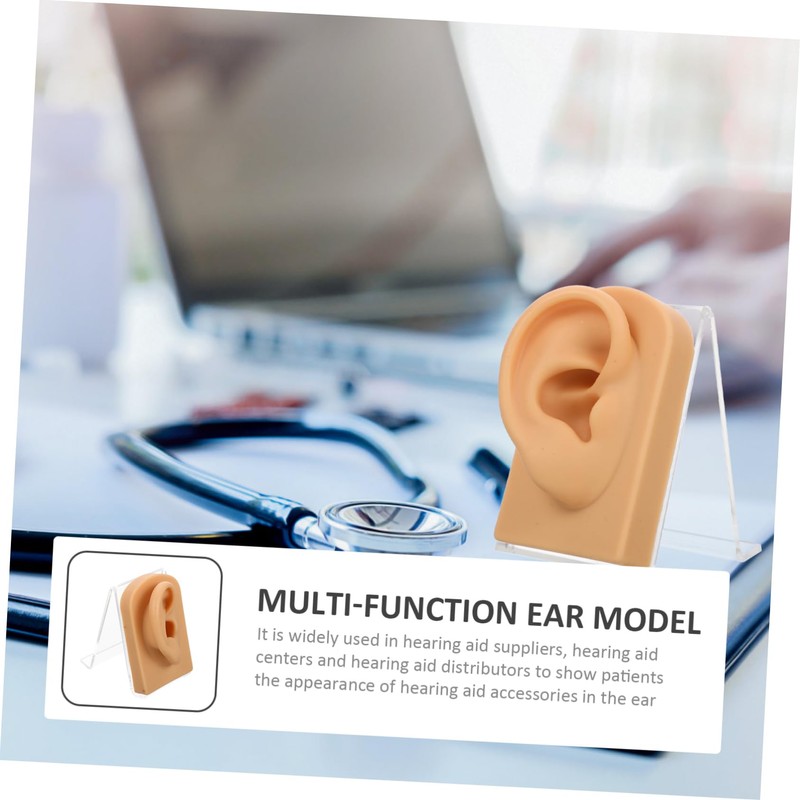 Baluue 3sets Decorative Ear Model for Jewelry Display Multi-function Earring