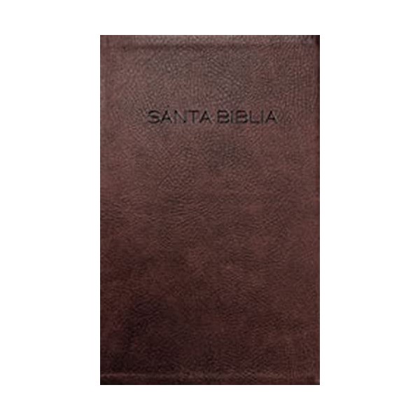 Biblia NVI (Spanish Edition)