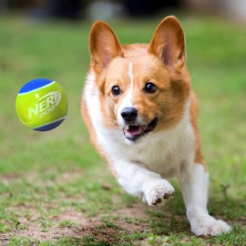 Nerf Dog Rubber Tennis Ball Squeak Toy, Durable, Water-Resistant, 2.5in, 2 Pack