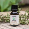 Biome Rosemary 100% Pure Essential Oil - 15ml