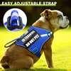 Service Dog Harness and Leash Set, Training Dog Vest with