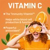 Immune Complex Once A Day - Vitamin C 900mg, Vitamin
