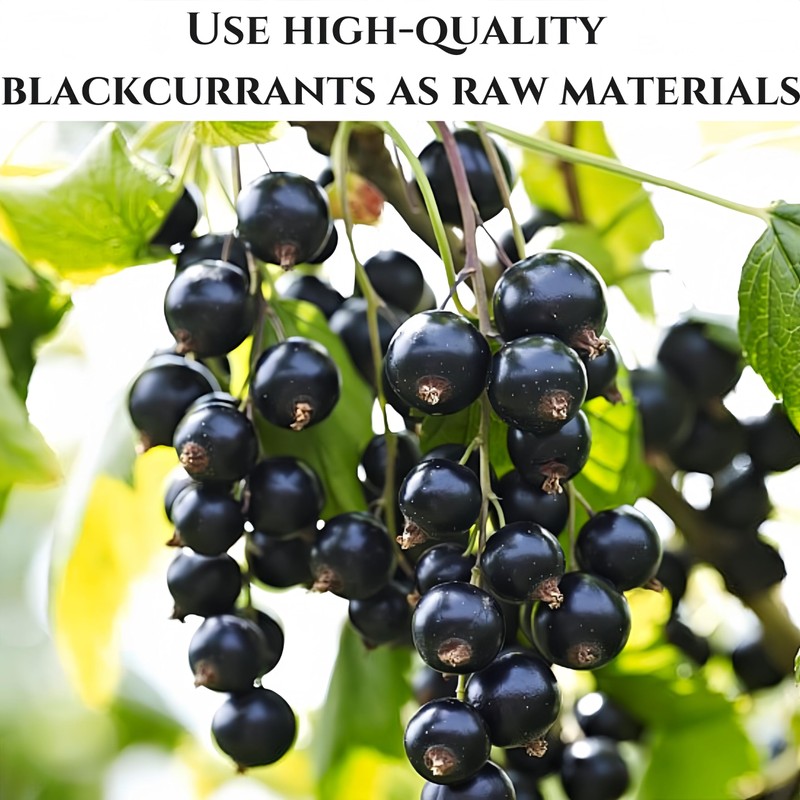 Dehydrated Dried Blackcurrants - Large-sized Black currants, No Added Sweeteners