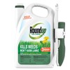 Roundup for Lawns₁ Ready-to-Use with Extend Wand, Tough Weed Killer