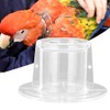 Parrot Neck Collar Bird Recovery Cones Bird Feather Protector Shield