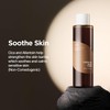 ISNTREE Tónico Facial Green Tea Fresh Toner - Coreano con