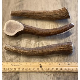 LARGE Elk/Deer Antler Premium Dog Chew (1pc) **OREGON ANTLER WORKS**