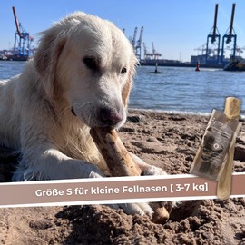 Zoys® Coffee Wood Natural Chew Bone for Dogs - Chew Stick for Teeth Cleaning & Dental Health & Sustainable Activity - Size S 3-7 kg Weight - Dog Accessories Durable & Low Risk - 1 Piece