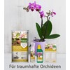 Pokon Pokon Orchideen-Fl1ssigd1nger 250ml, Fl1ssige Spezialnahrung f1r alle Orchideenarten mit